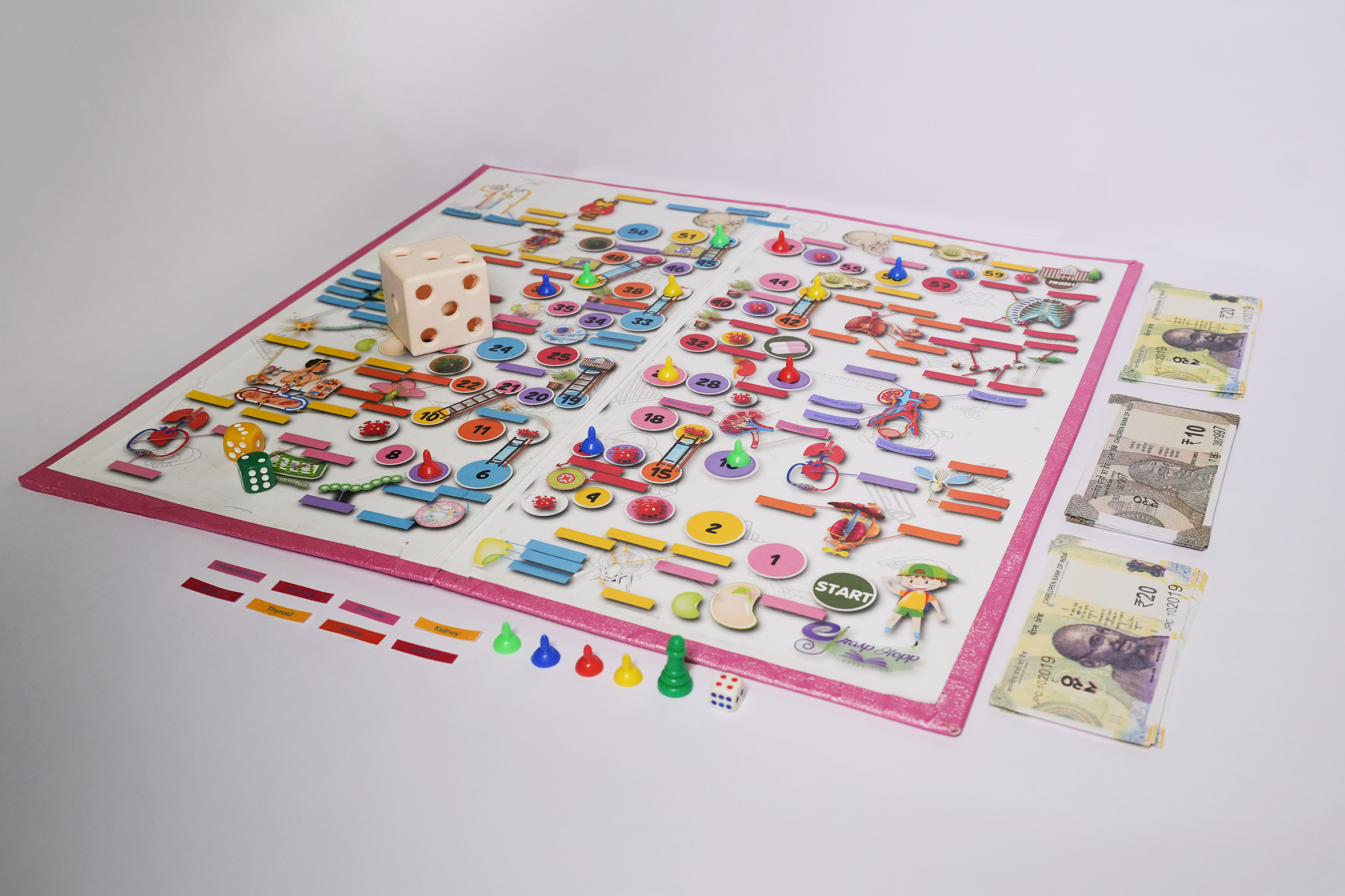 BIOLOGY LEARNING KIT FOR STANDARD 11 NCERT / CBSE