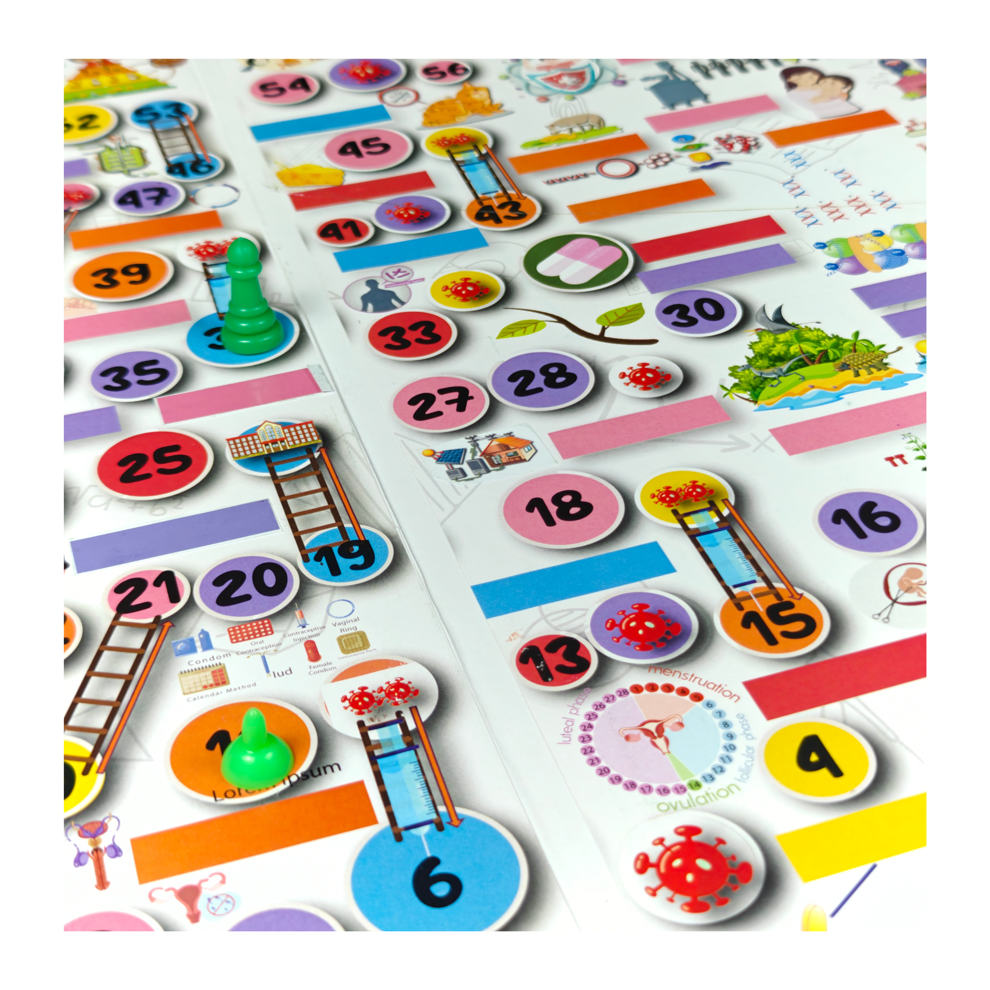 BIOLOGY LEARNING KIT FOR STANDARD 12 NCERT / CBSE